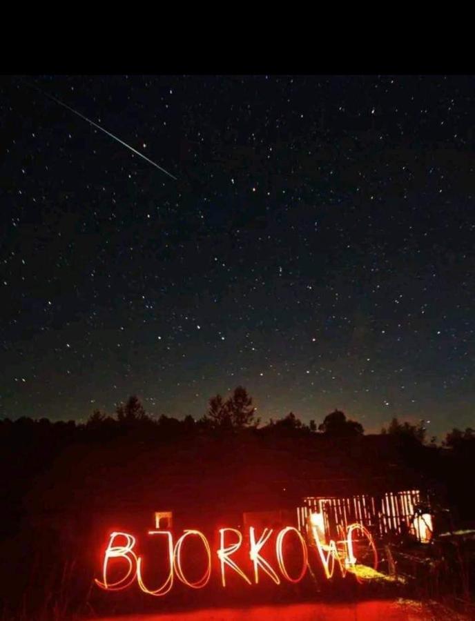 Bjorkowo Villa Polańczyk Kültér fotó