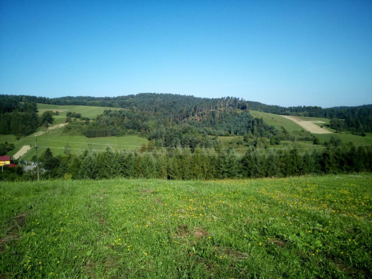 Bjorkowo Villa Polańczyk Kültér fotó